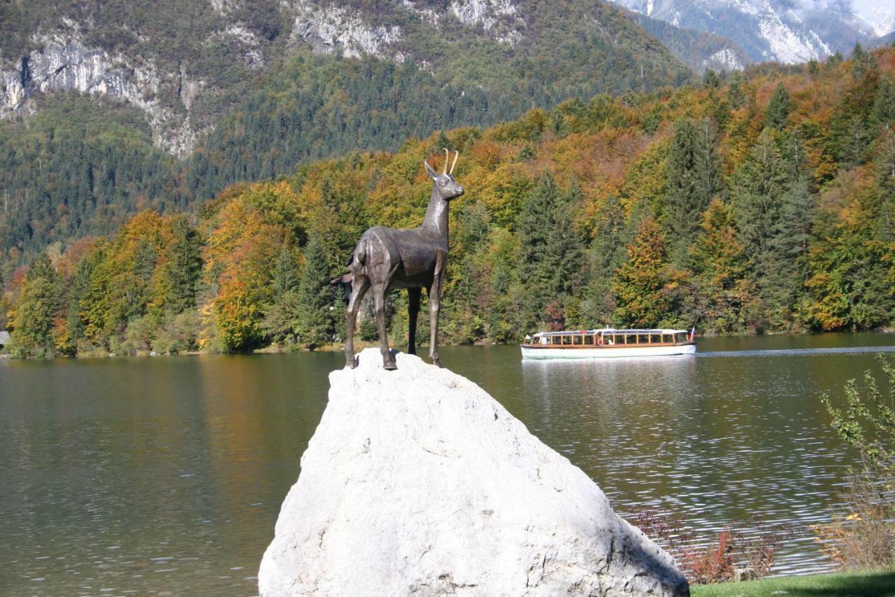 Apartment Ravnik Brod 13 Bohinj Exteriör bild