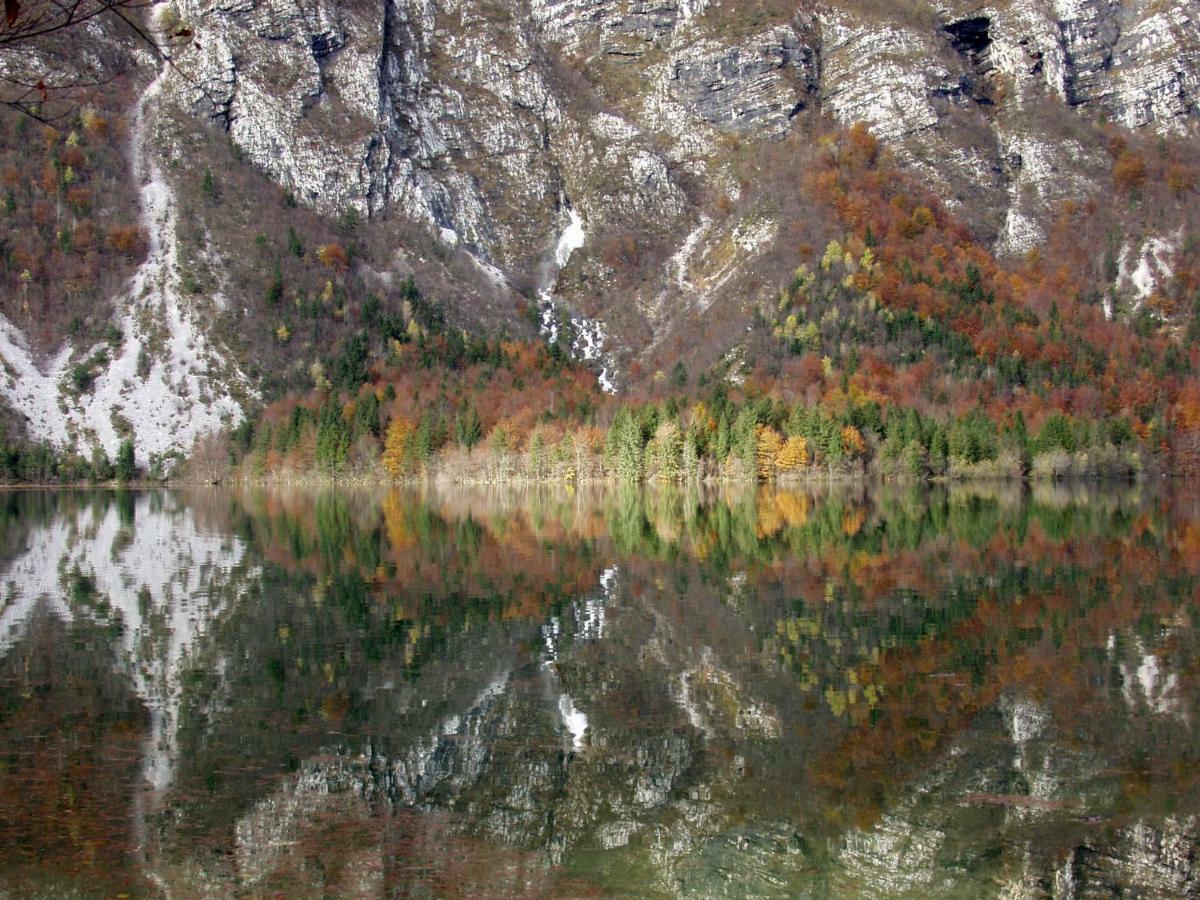 Apartment Ravnik Brod 13 Bohinj Exteriör bild