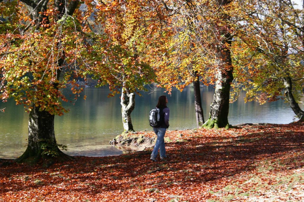 Apartment Ravnik Brod 13 Bohinj Exteriör bild